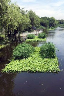 水環境治理
